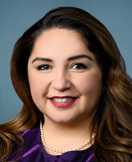 Delia C. Ramirez 标准像